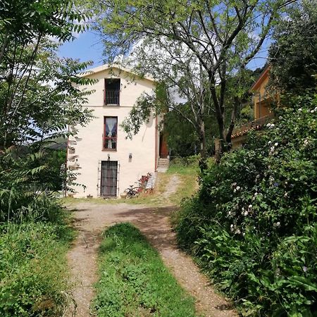 Ferula Romantica Mansarda Tra Fiumi E Montagne Sardegna Seùlo Dış mekan fotoğraf