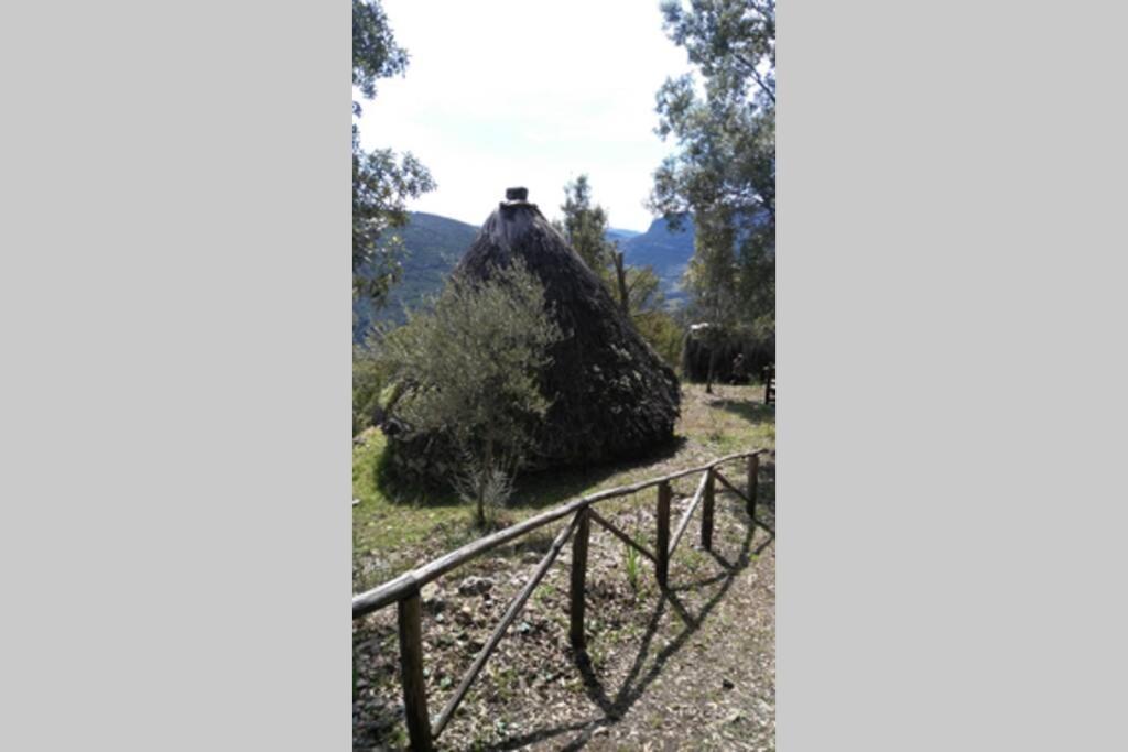 Ferula Romantica Mansarda Tra Fiumi E Montagne Sardegna Seùlo Dış mekan fotoğraf