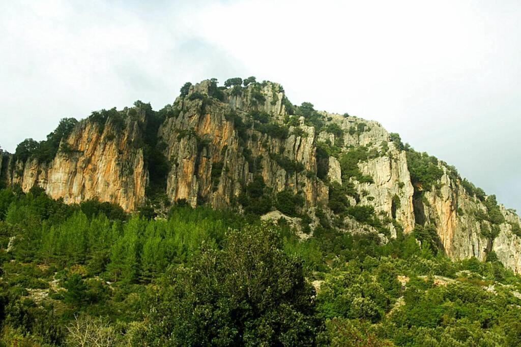 Ferula Romantica Mansarda Tra Fiumi E Montagne Sardegna Seùlo Dış mekan fotoğraf