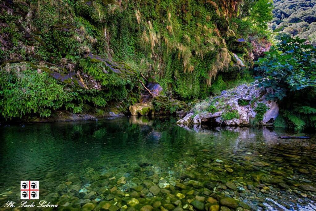 Ferula Romantica Mansarda Tra Fiumi E Montagne Sardegna Seùlo Dış mekan fotoğraf