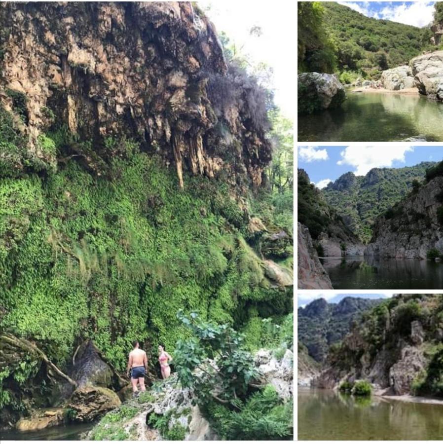 Ferula Romantica Mansarda Tra Fiumi E Montagne Sardegna Seùlo Dış mekan fotoğraf