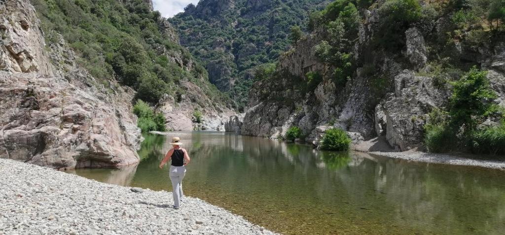 Ferula Romantica Mansarda Tra Fiumi E Montagne Sardegna Seùlo Dış mekan fotoğraf